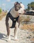 Heavy Duty No Pull Dog Harness product image 5