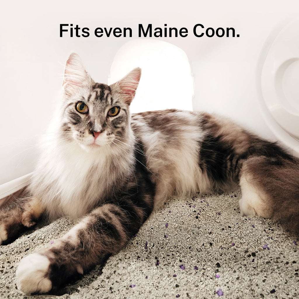 Automatic Self-Cleaning Cat Litter Box product image 2