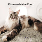 Automatic Self-Cleaning Cat Litter Box product image 2