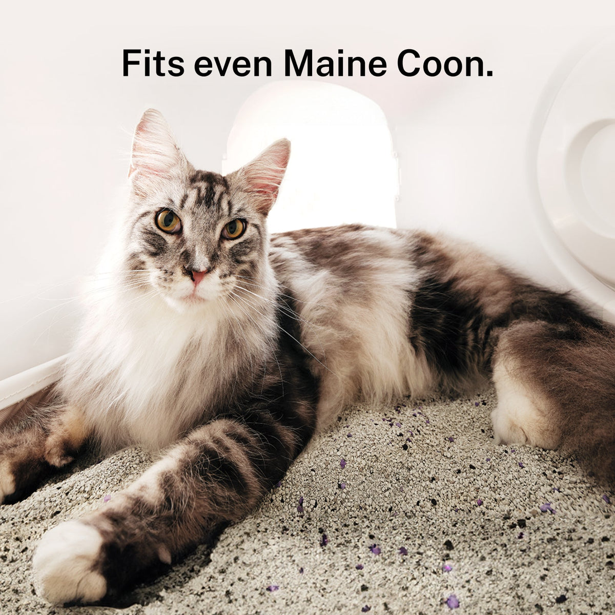 Automatic Self-Cleaning Cat Litter Box product image 2