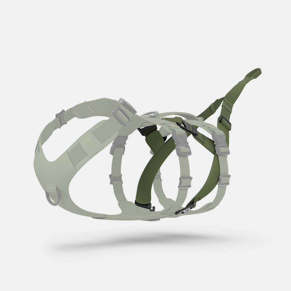 Dog Harness Traction Attachment product image 3
