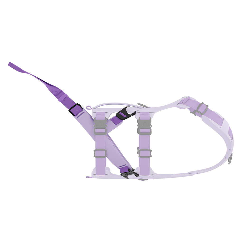 Dog Harness Traction Attachment product image 1