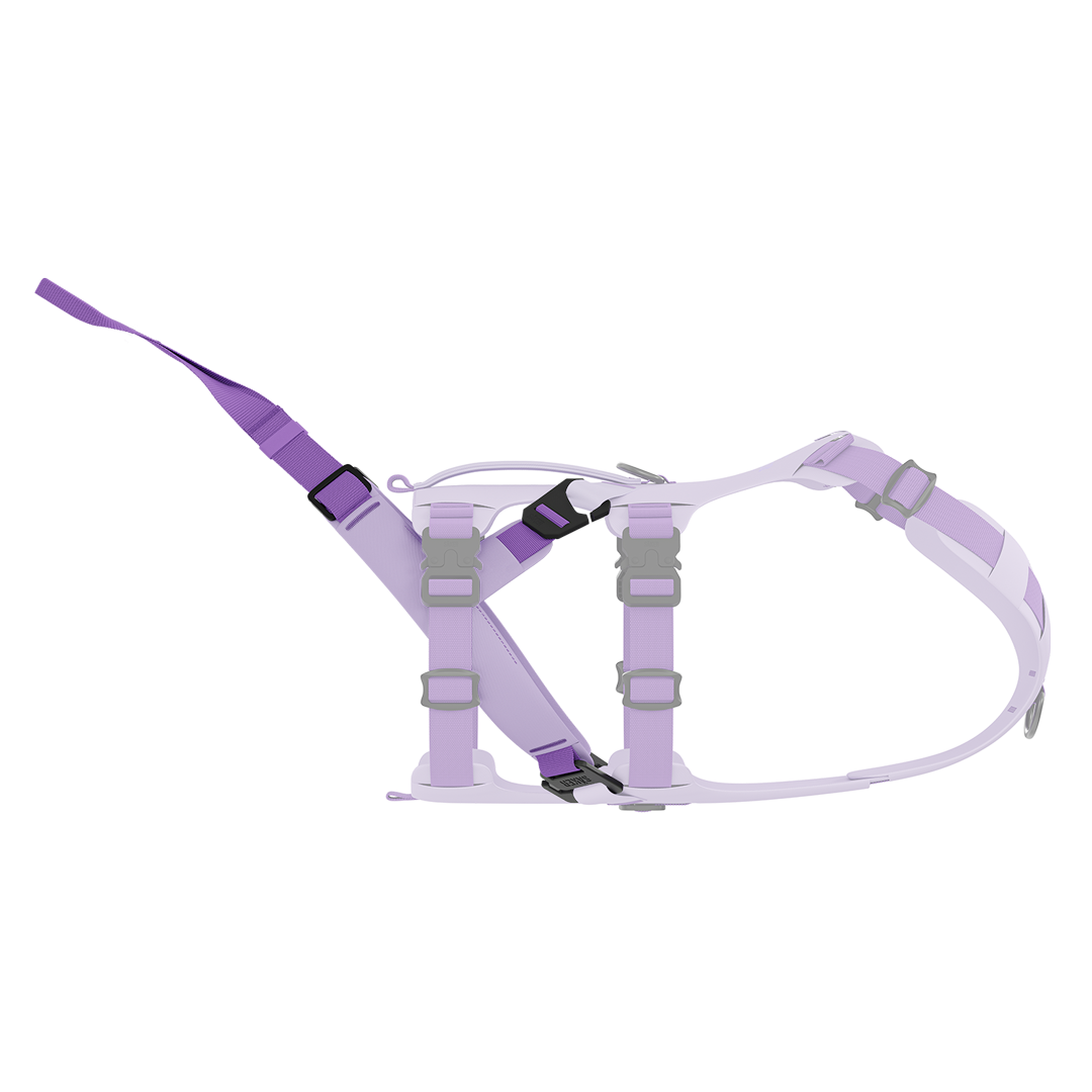 Dog Harness Traction Attachment product image 1