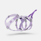 Dog Harness Traction Attachment product image 3
