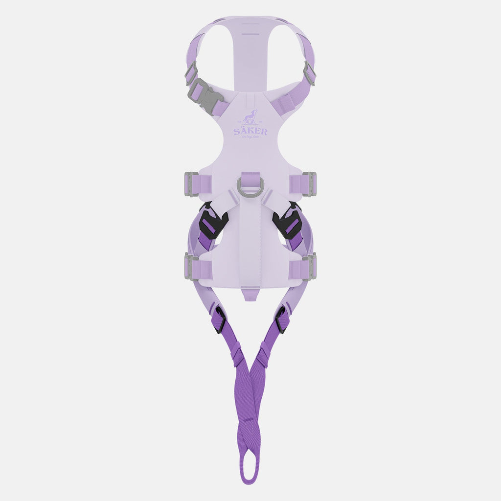 Dog Harness Traction Attachment product image 4