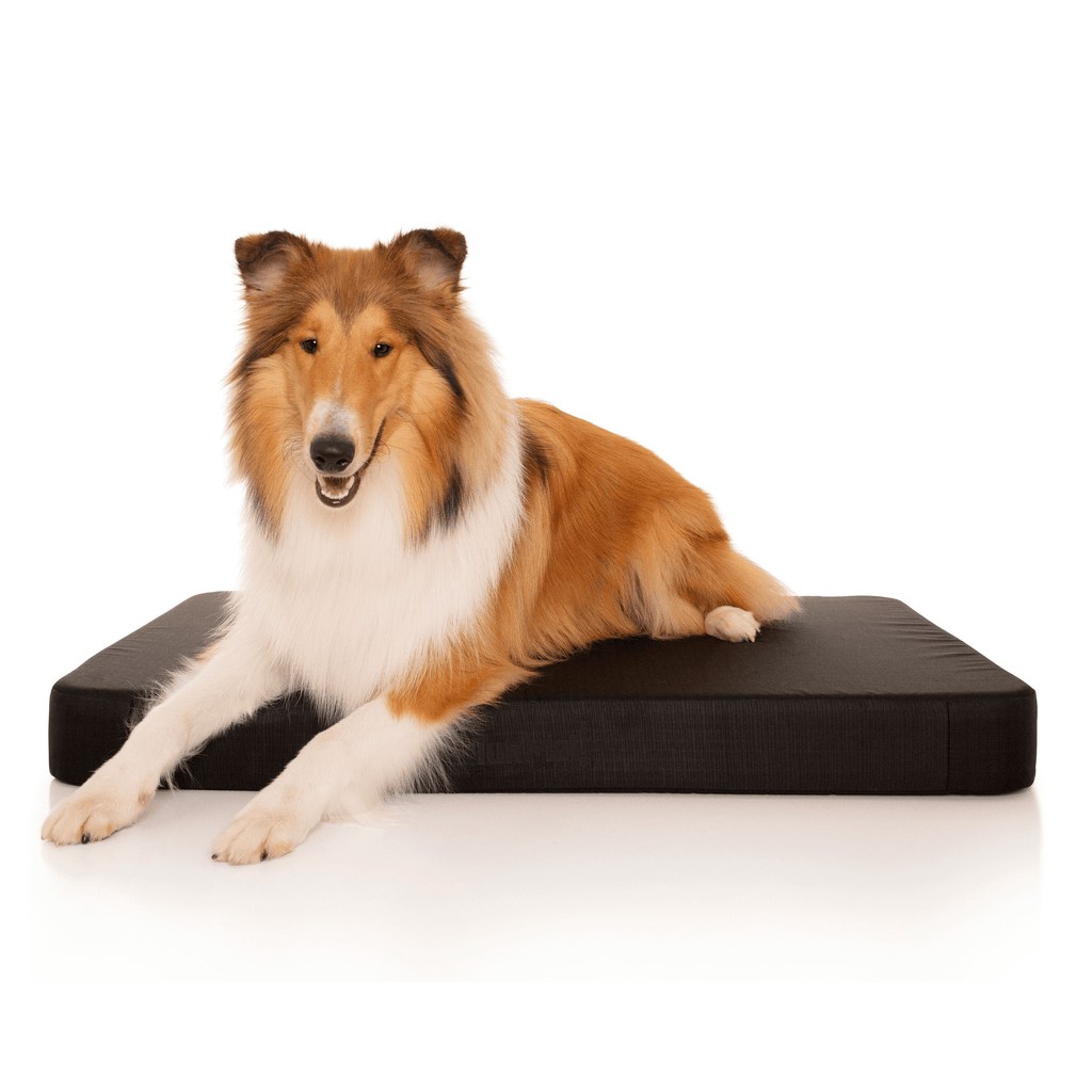 Waterproof Orthopedic Dog Bed product image 11