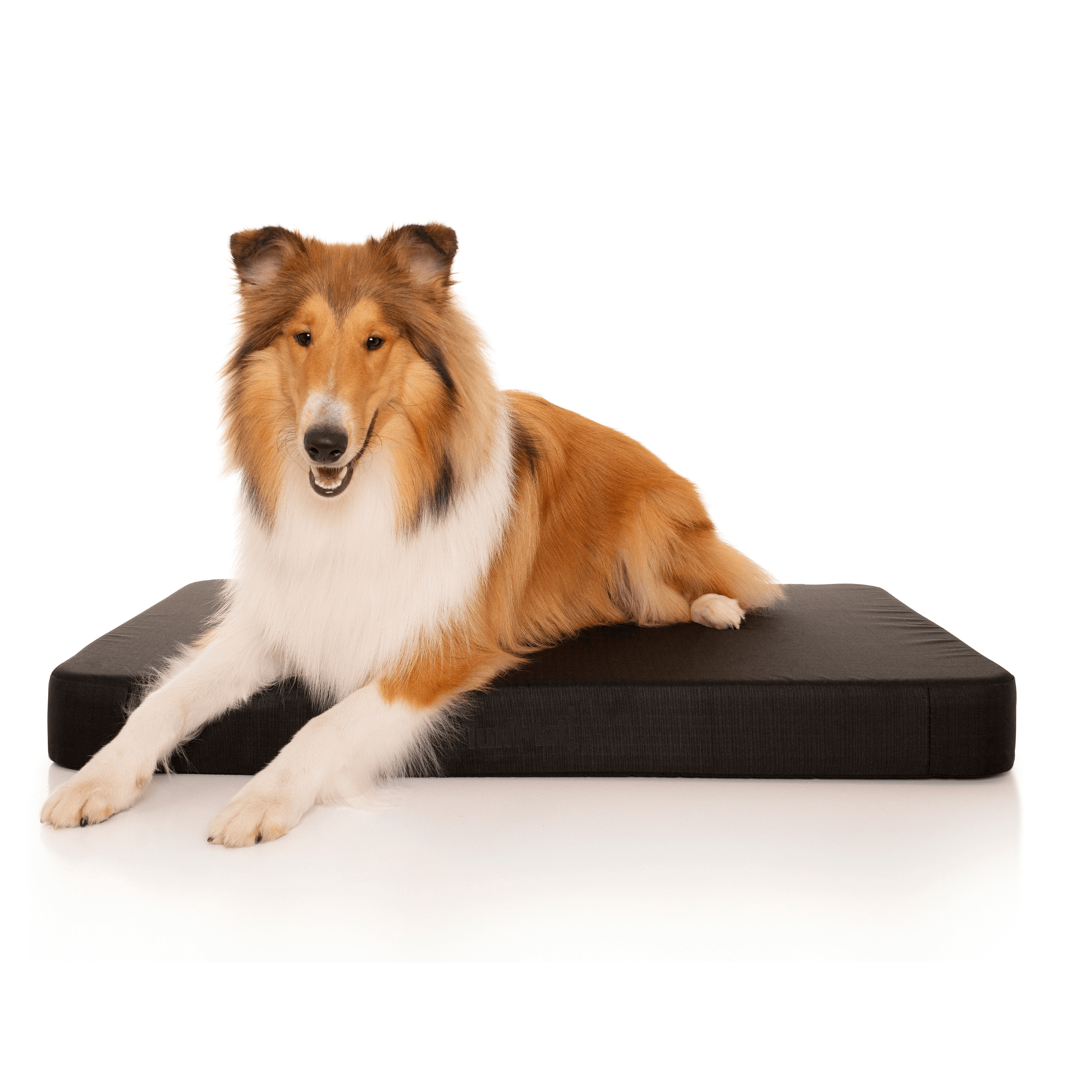 Waterproof Orthopedic Dog Bed product image 11