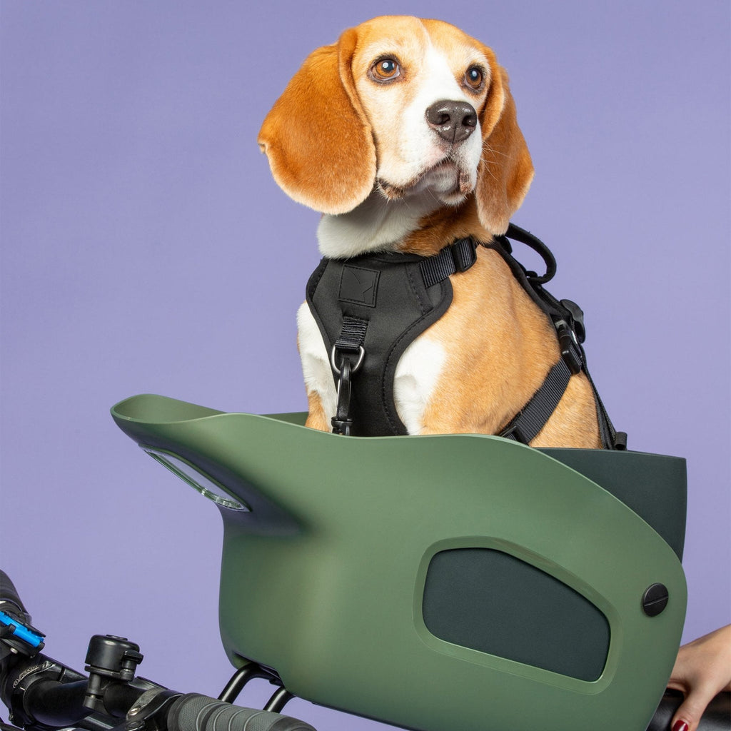 Dog Bike Carrier Seat product image 29