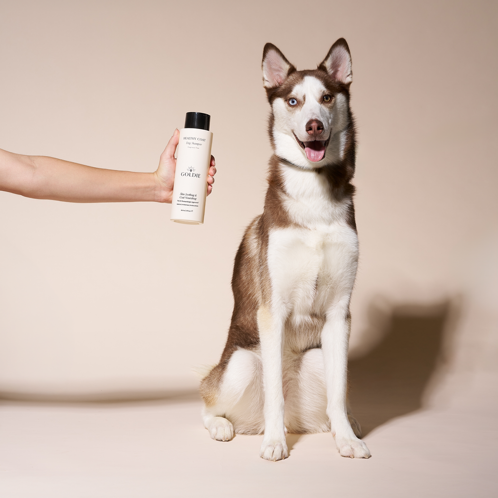 Dog Shampoo product image 3