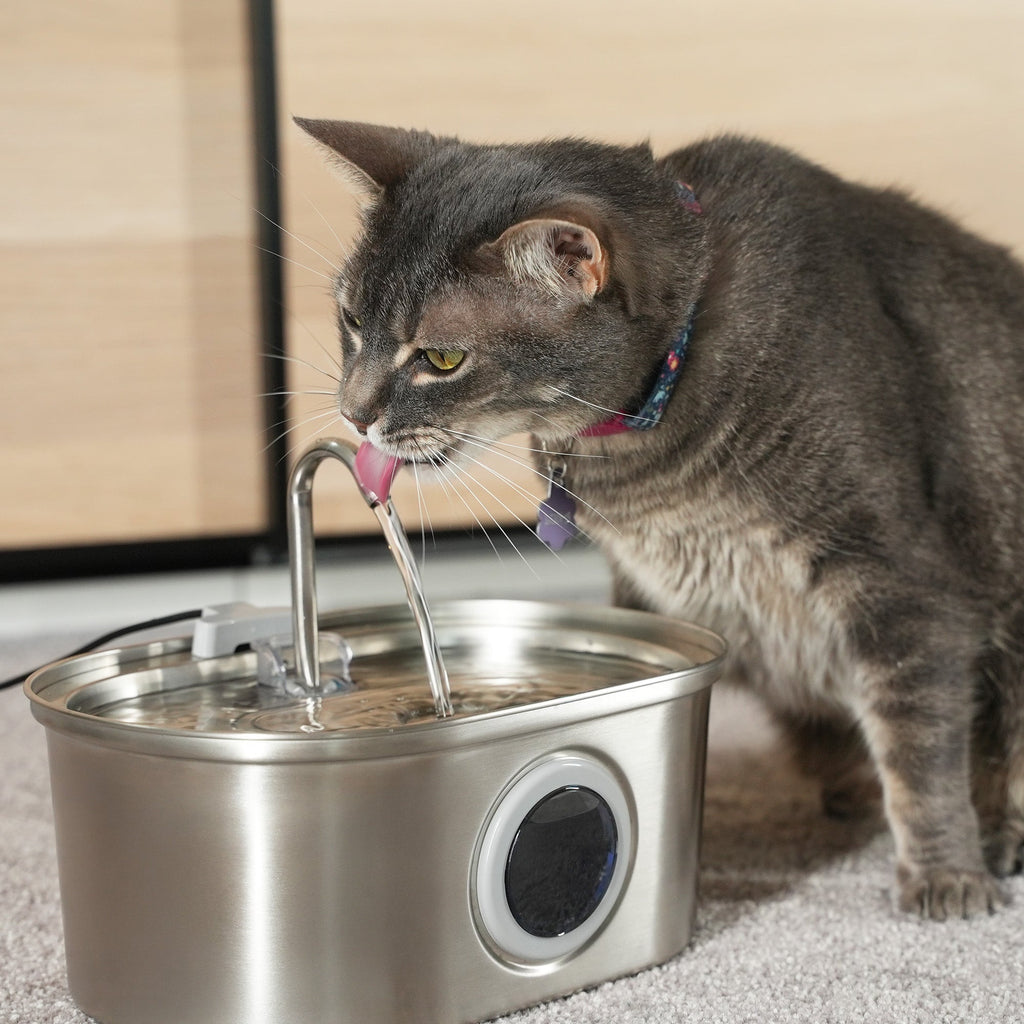 Pet Water Fountain product image 8