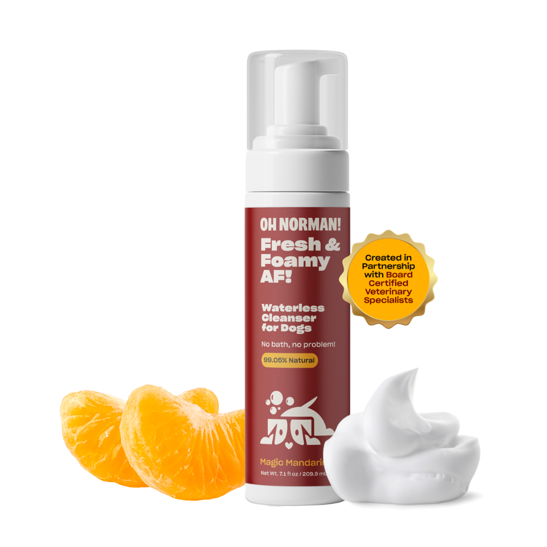 Dog Dry Shampoo product image 1