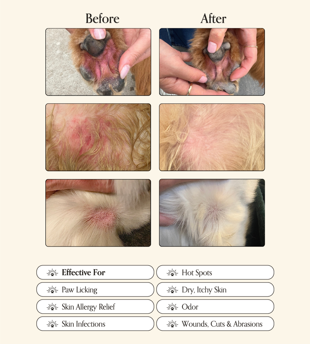 Dog Skin & Ear Care product image 3