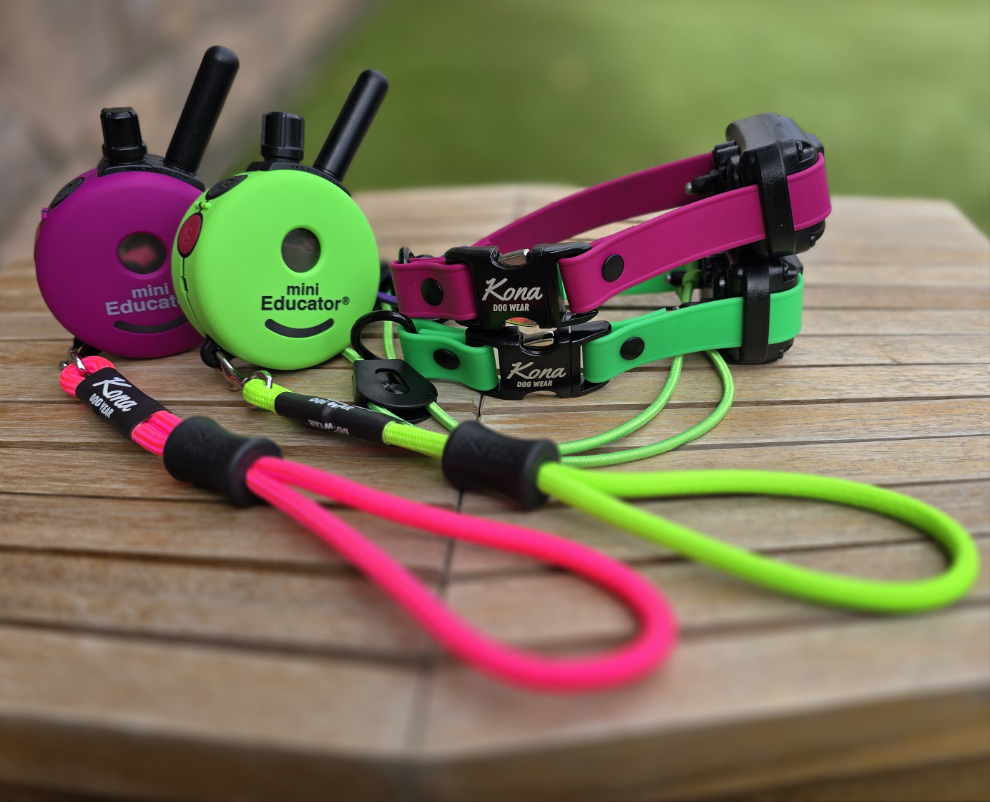 Dog E-Collar Strap product image 2