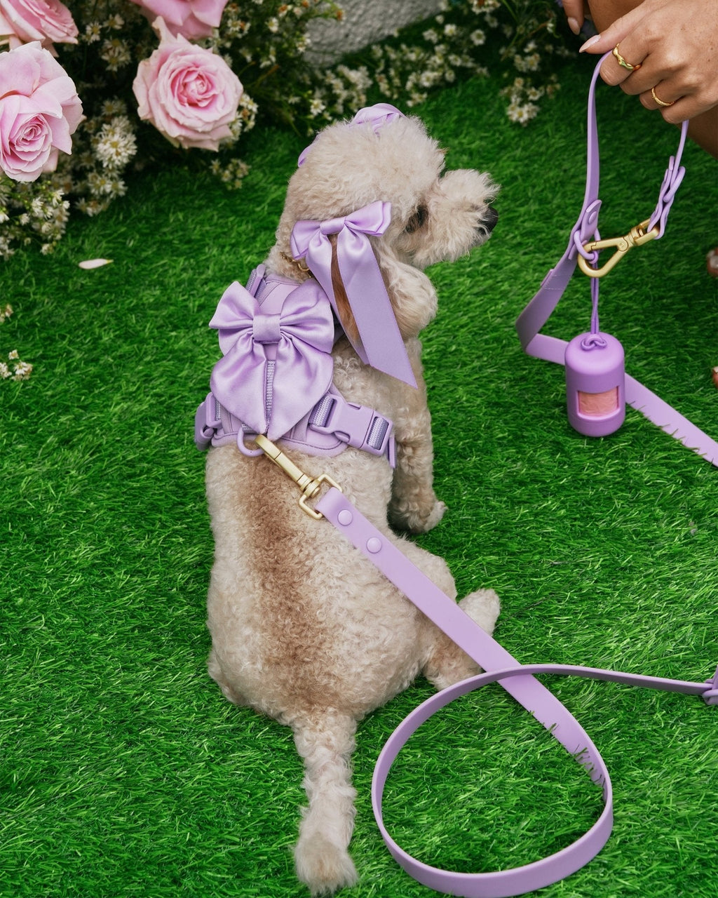Hands-Free Leash product image 2