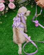 Hands-Free Leash product image 2