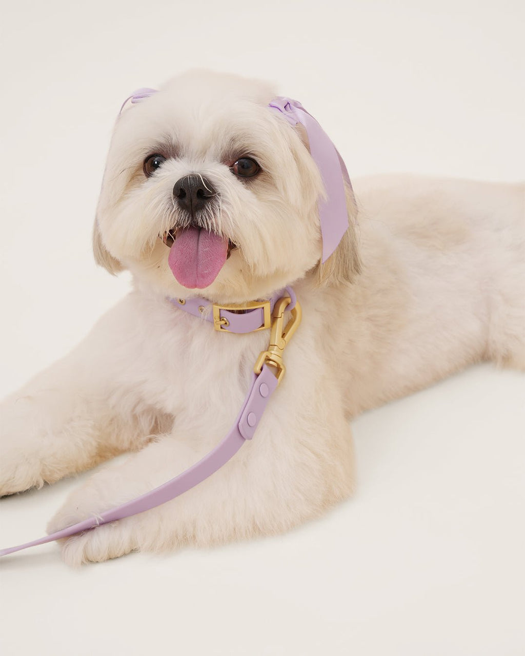 Hands-Free Leash product image 8