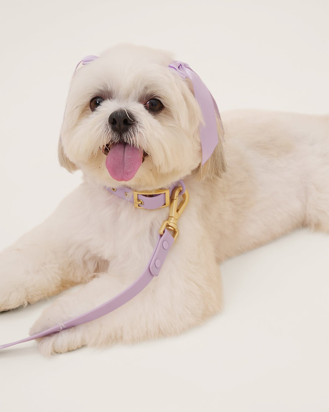 Hands-Free Leash product image 8