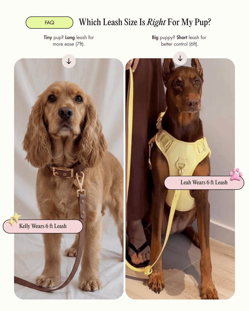 Hands-Free Leash product image 11