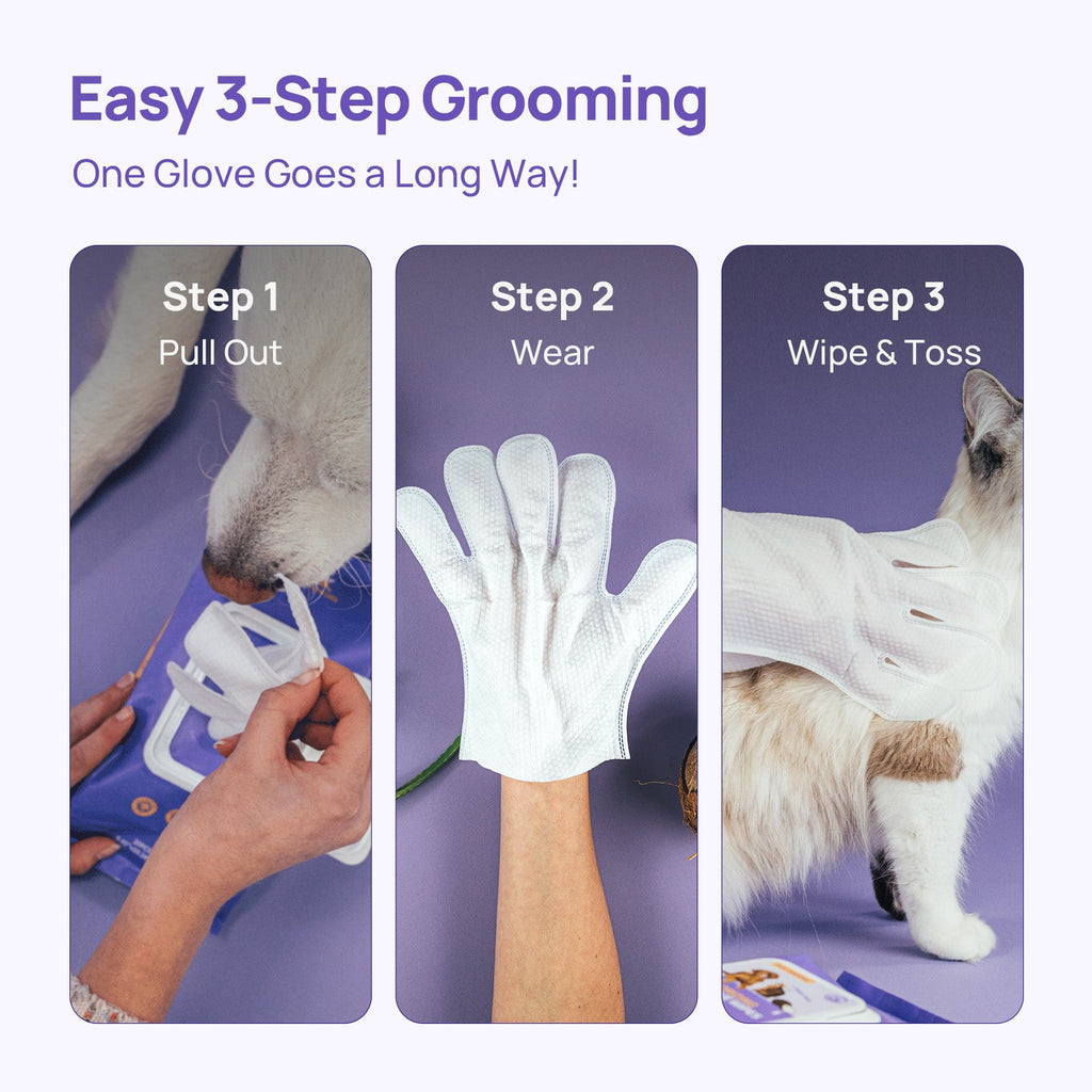 Pet Wipes product image 8