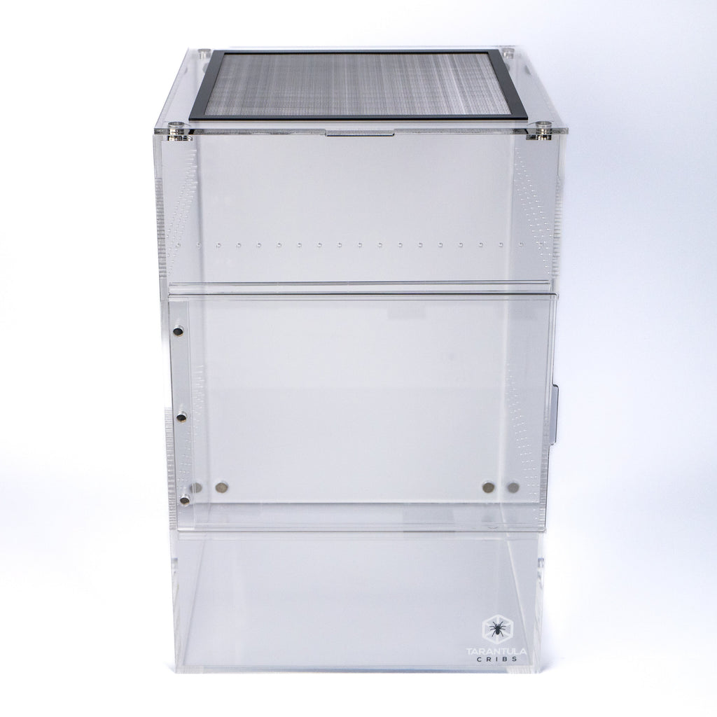 Tarantula Enclosure product image 4
