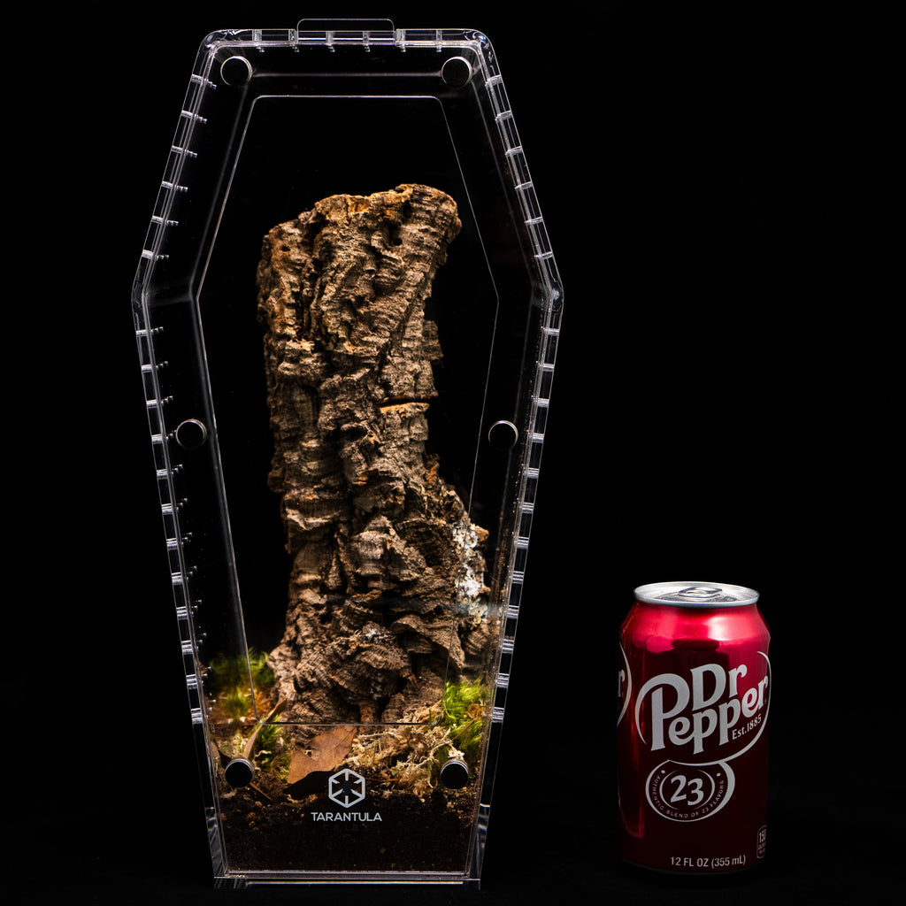 Coffin Terrarium product image 3