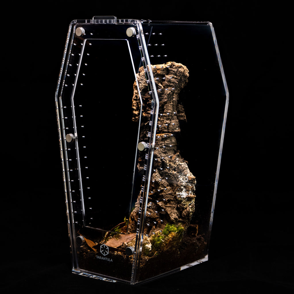 Coffin Terrarium product image 4