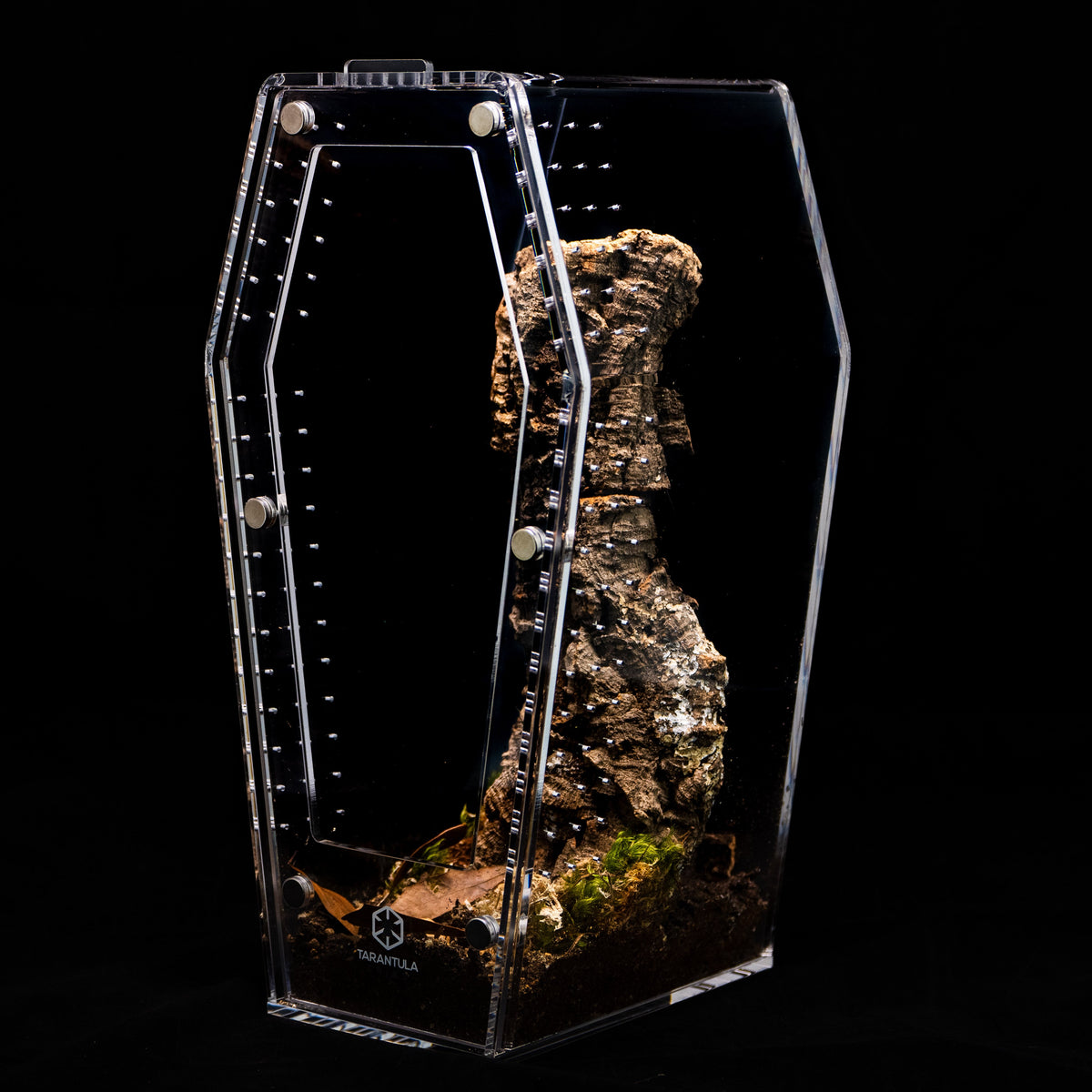 Coffin Terrarium product image 4