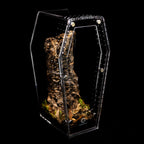 Coffin Terrarium product image 5