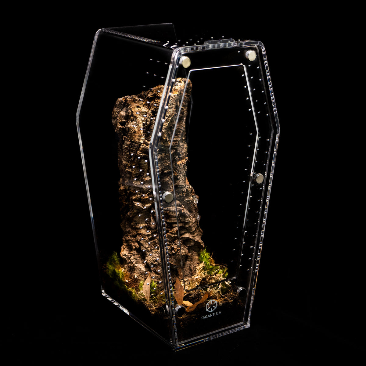 Coffin Terrarium product image 5