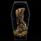 Coffin Terrarium product image 6