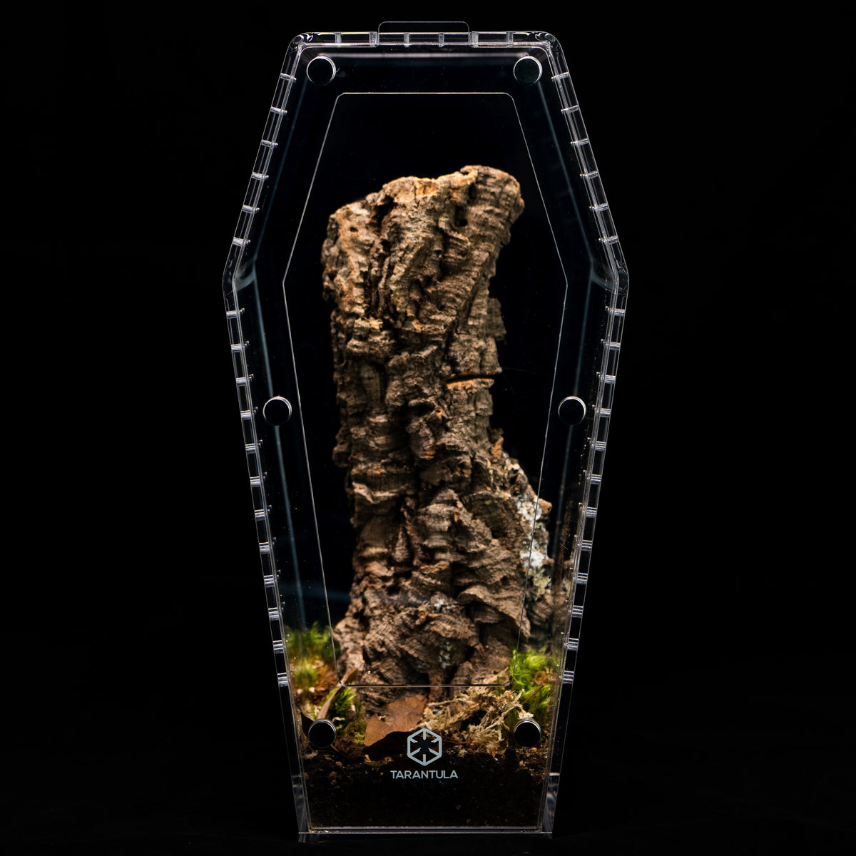 Coffin Terrarium product image 6