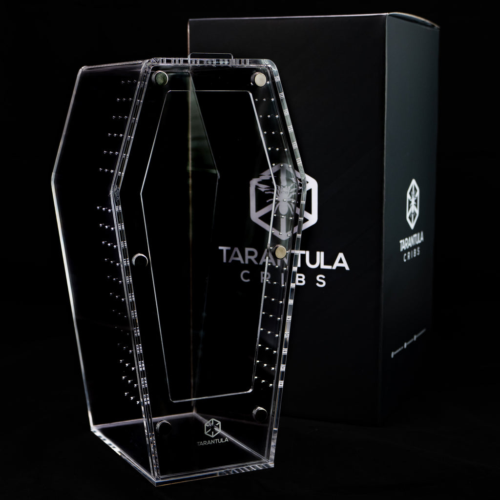 Coffin Terrarium product image 7