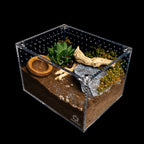 Tarantula Enclosure product image 2