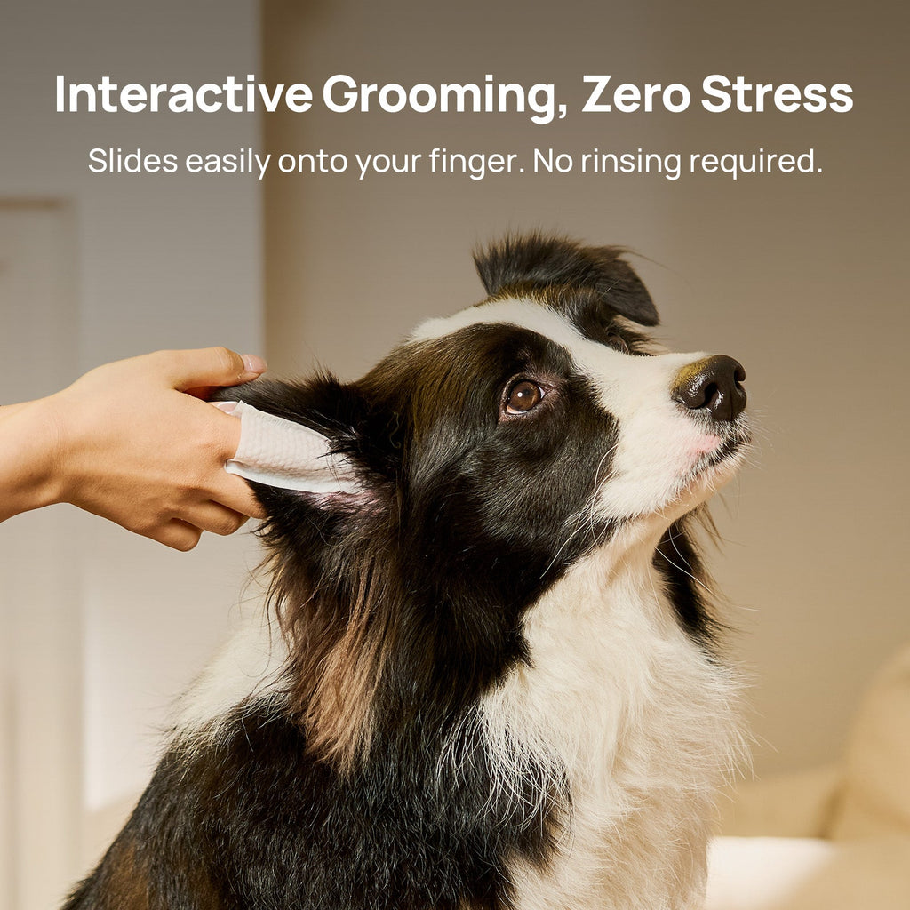 Ear Cleaning Wipes product image 5