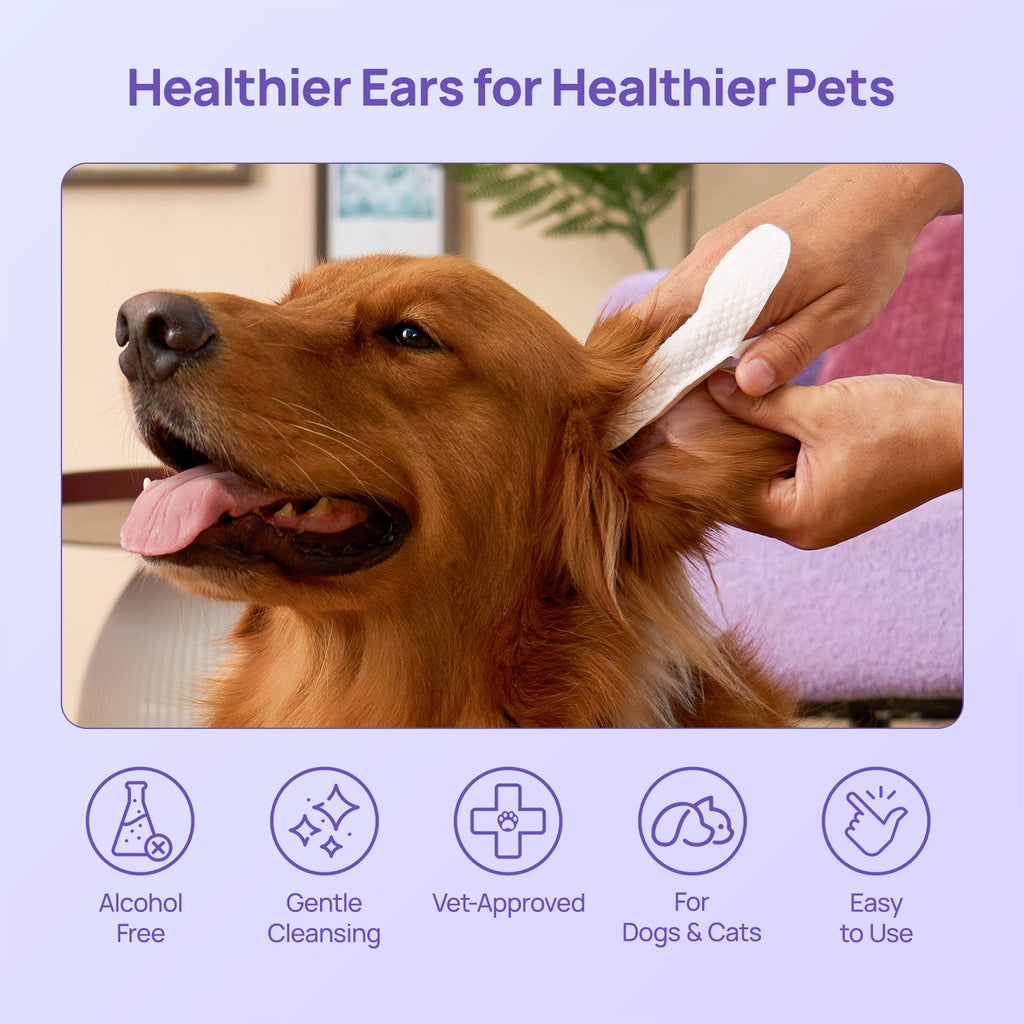 Ear Cleaning Wipes product image 8