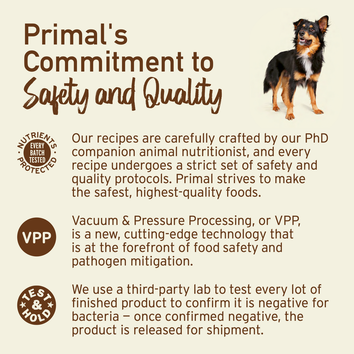 Freeze-Dried Raw Dog Food product image 6