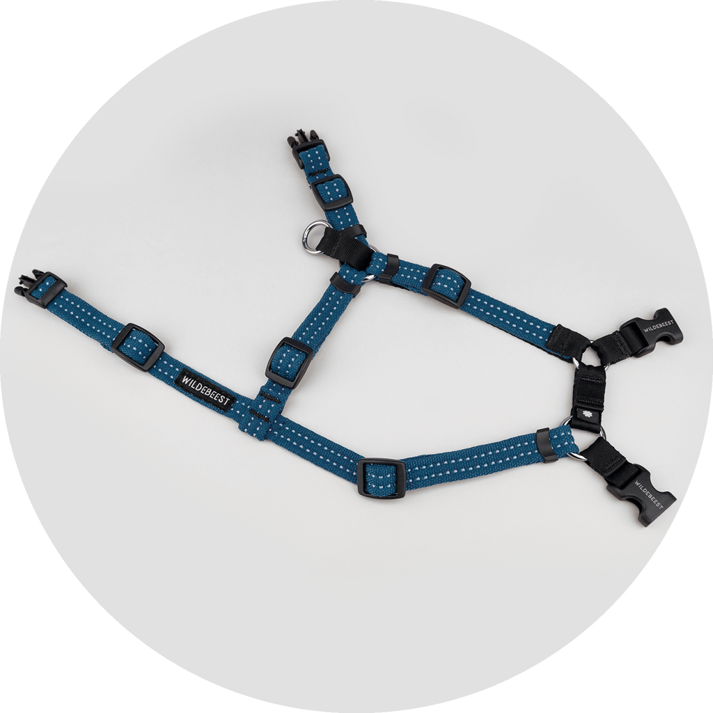 Dog Harness product image 4