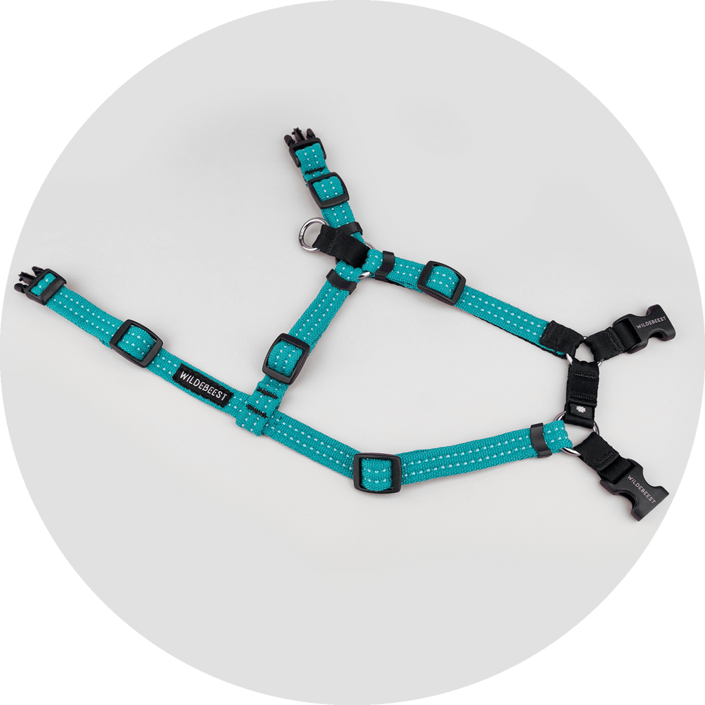 Dog Harness product image 7