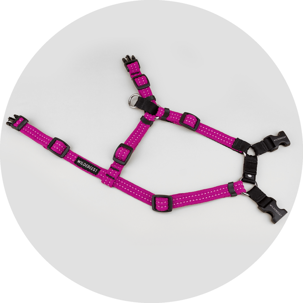 Dog Harness product image 11