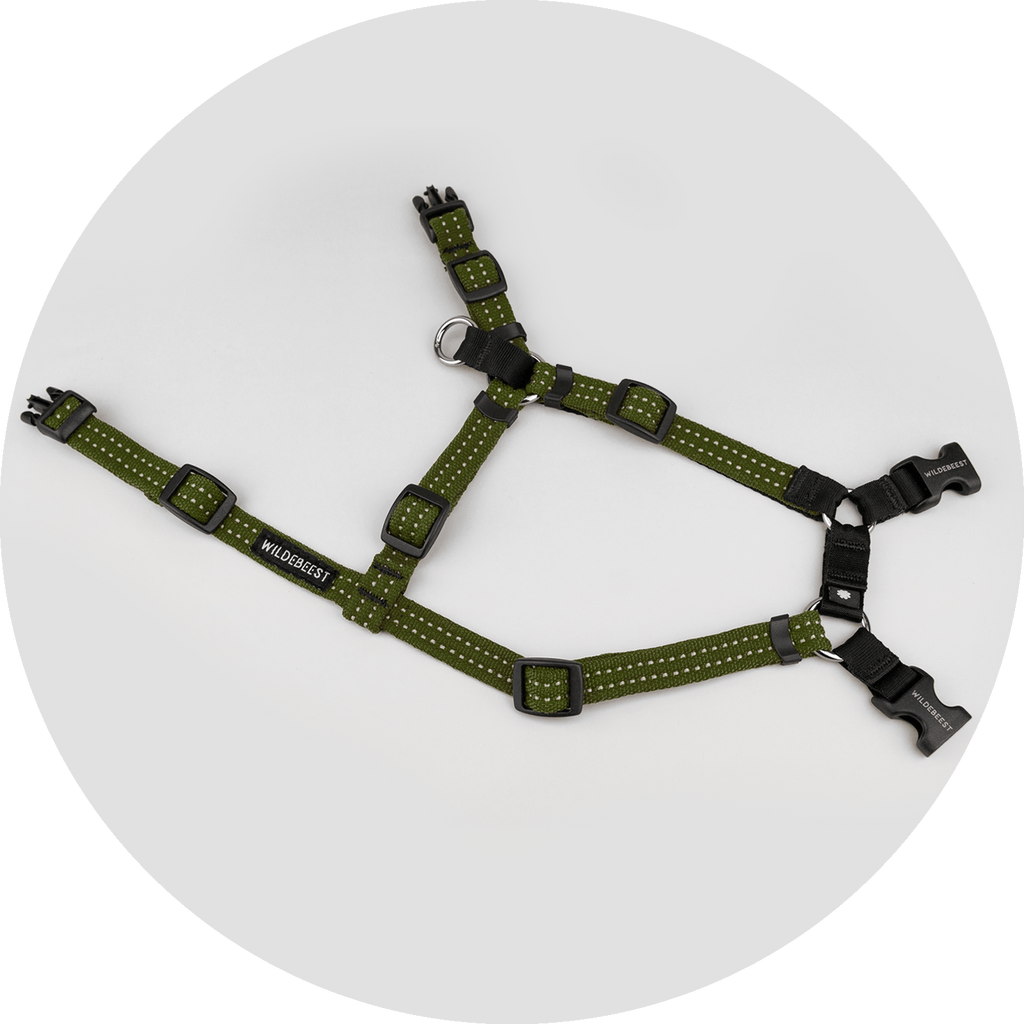 Dog Harness product image 16
