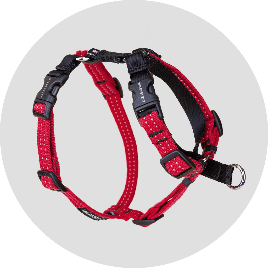 Dog Harness product image 19