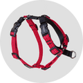 Dog Harness product image 19