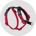 Dog Harness product image 19