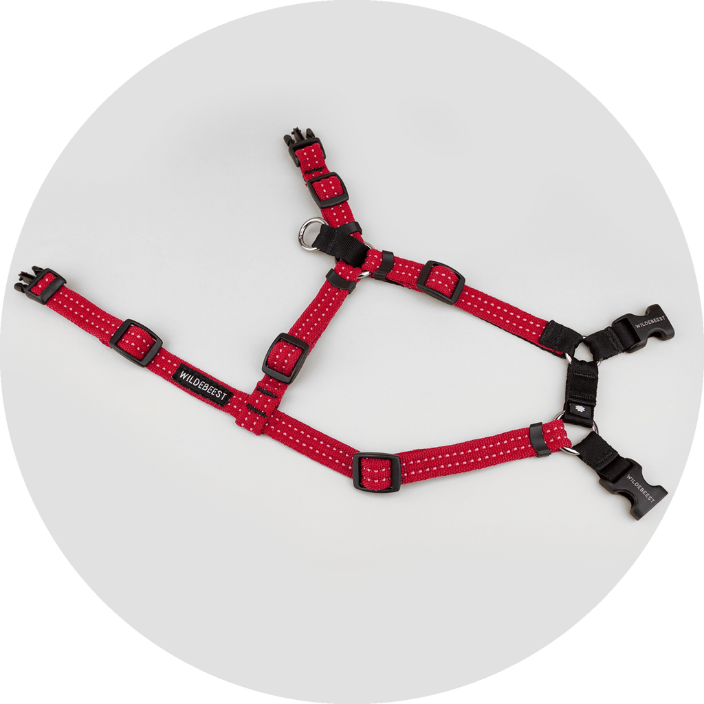 Dog Harness product image 20
