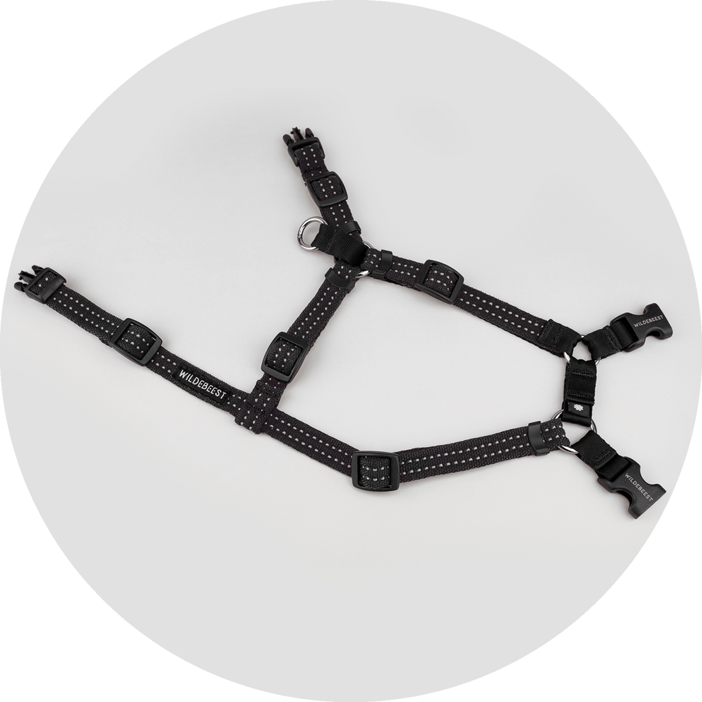 Dog Harness product image 24