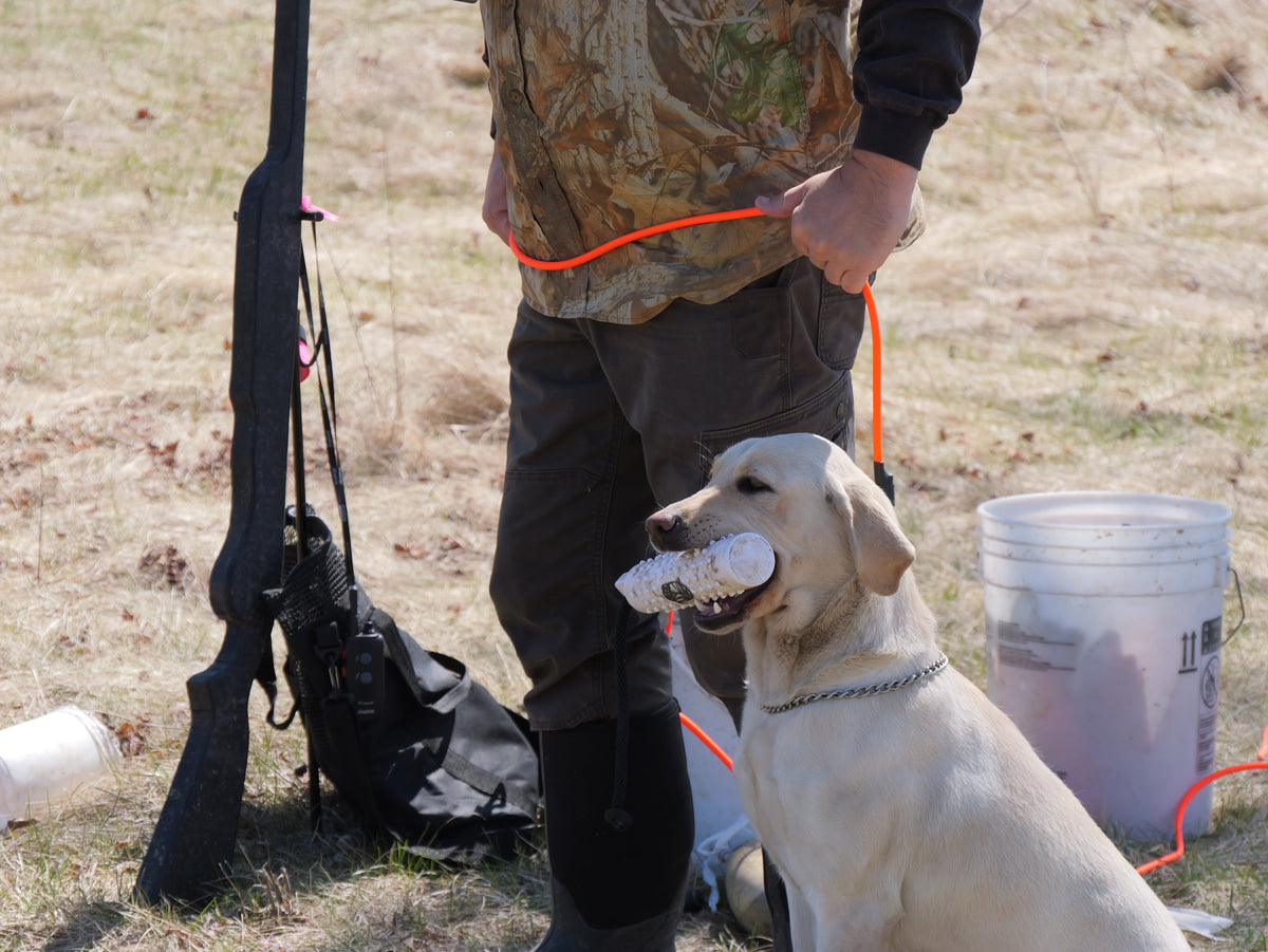 Dog Training Leash product image 4