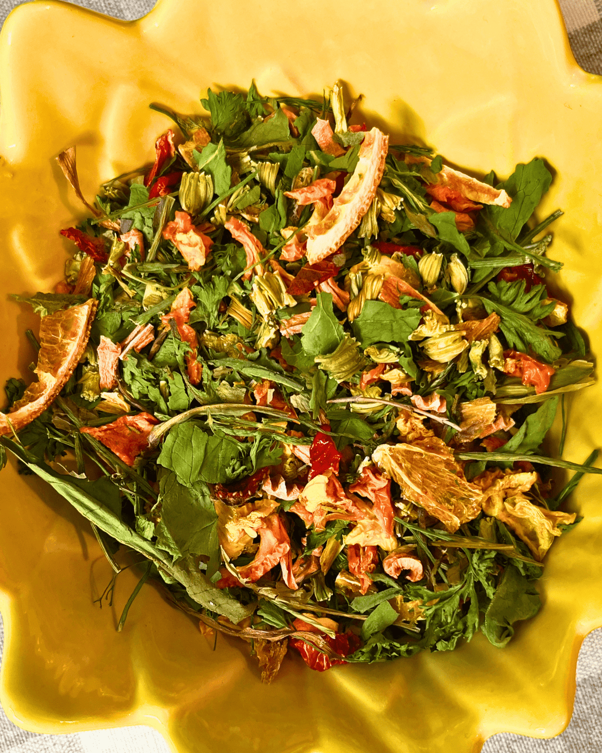 Small Animal Forage Mix product image 1