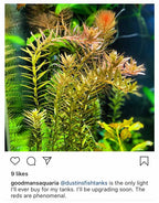 Double-Row Planted Aquarium LED Light product image 19