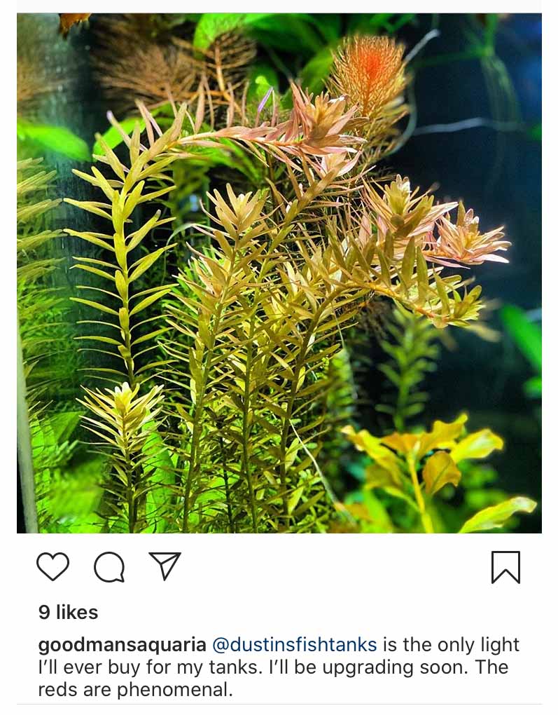 Double-Row Planted Aquarium LED Light product image 19