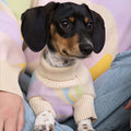 Dog Sweater product image 1